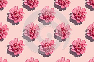 Seamless pattern of a beautiful pink double peonies on pastel pink background.