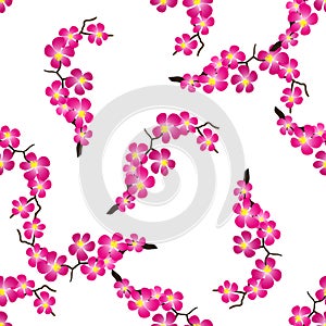 Seamless pattern with beautiful sacura spring cherry