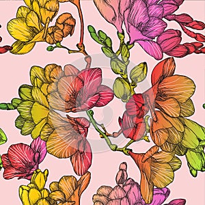 Seamless pattern with Beautiful of spring freesias