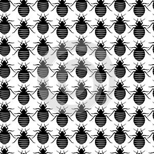 Seamless pattern with bedbugs in row. Vector texture with black insects on white background. Bed bugs wallpaper. Flat illustration