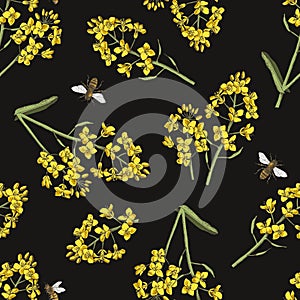 Seamless pattern with bees pollinating rapeseed