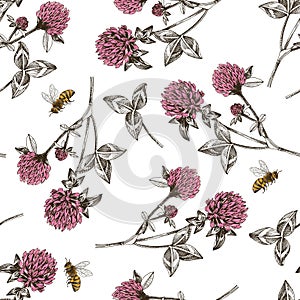 Seamless pattern with bees pollinating red clover flowers