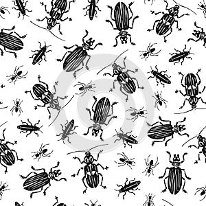 Seamless pattern with beetles. Hand drawn sketch