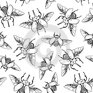 Seamless pattern with beetles Megasoma elephas. Hand drawn sketch