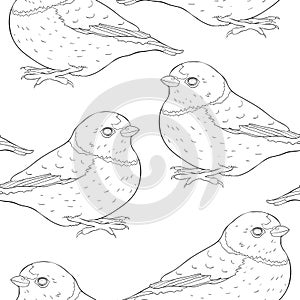 seamless pattern bird green organist Tanager family. vector illustration