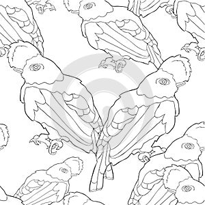 seamless pattern bird of paradise, a rocky cock. vector illustration