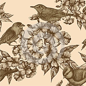 Seamless pattern with birds and flowering phloxes.