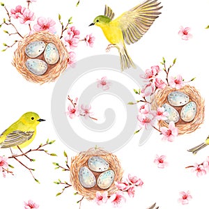 Seamless pattern with birds, nests and cherry blossoms. watercolor drawing.