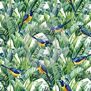 seamless pattern with birds starling and jungle palm leaves. Floral design. Watercolor tropical Hand painted