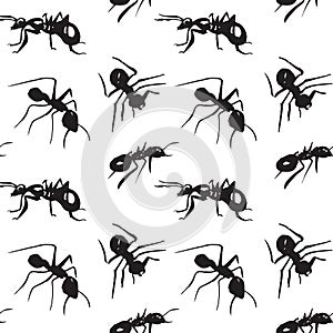 Seamless pattern with black ants