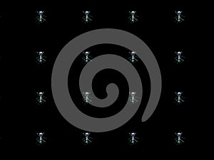 Seamless Pattern of Black Ants on black Background