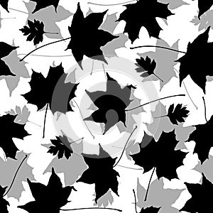 Seamless pattern black gray white maple leaves silhouette collection. nature scandinavian style background. decor trend of the