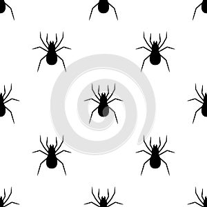 Seamless pattern with black silhouette of spider on white background. Halloween decorative texture. Vector illustration for design