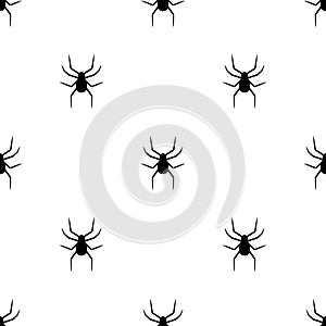 Seamless pattern with black silhouette of spider on white background. Halloween decorative texture. Vector illustration for design