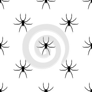 Seamless pattern with black silhouette of spider on white background. Halloween decorative texture. Vector illustration for design