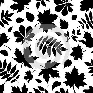 Seamless pattern with black silhouettes of autumn leaves on white.