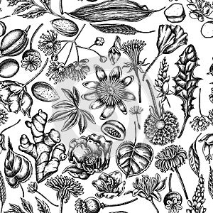 Seamless pattern with black and white almond, dandelion, ginger, poppy flower, passion flower, tilia cordata