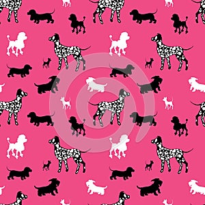 Seamless pattern with black and white dogs silhouettes - Dachshund, Dalmatian, chihuahua, scotchterrier, poodle on pink