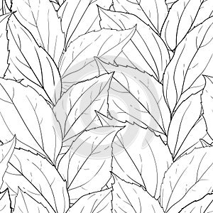 Seamless pattern black and white leaves background. Hand-drawn in sketh and doodle style. design background greeting cards and photo
