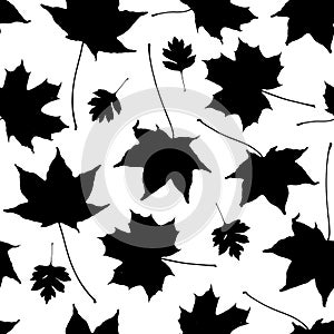 Seamless pattern black white maple leaves silhouette collection. nature scandinavian style background. decor trend of the season.