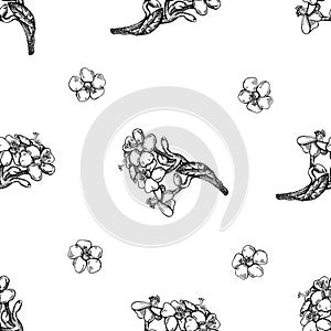 Seamless pattern with black and white milkweed