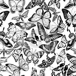 Seamless pattern with black and white papilio ulysses, morpho menelaus, graphium androcles, morpho rhetenor cacica