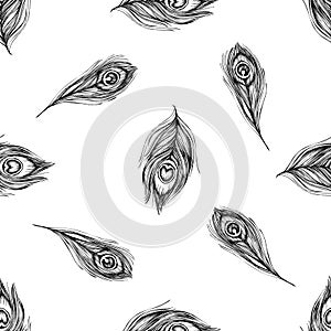 Seamless pattern with black and white peacock feathers