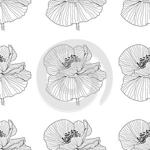 Seamless pattern of black and white poppies