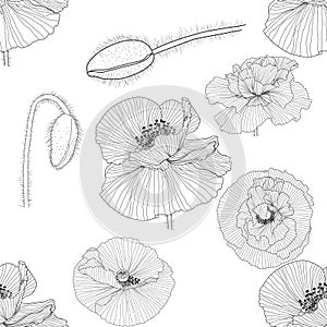 Seamless pattern of black and white poppies