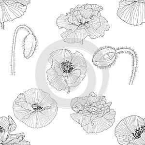 Seamless pattern of black and white poppies