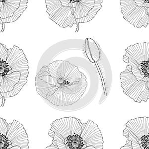 Seamless pattern of black and white poppies