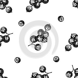 Seamless pattern with black and white red currant