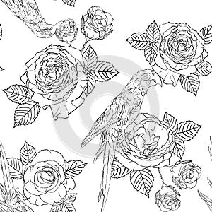 Seamless pattern black and white rose with leaves and macaw parrot for fashion textile, flower and bird vector illustration
