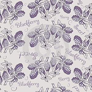 Seamless pattern of blackberry with branch and leaves