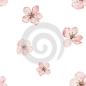 Seamless pattern with blooming cherry blossom, flowering sakura, spring apple. Floral watercolor background. Perfect for