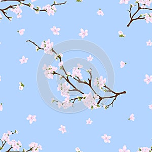 Seamless pattern with blooming sakura branches on blue pastel background, Vector illustration of pink Cherry blossom