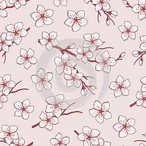 Seamless pattern with blossoming branches of cherry. Red silhouette of a cherry branch with white flowers on a pink background