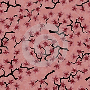 Seamless pattern with blossoming Japanese cherry sakura branches.Pink flower on salmon background