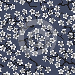 Seamless pattern with blossoming Japanese cherry sakura.White flowers on slate grey background