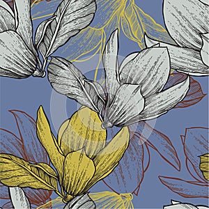 Seamless pattern with blossoming magnolias, hand-d photo