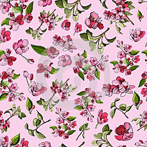 Seamless pattern of blossoming pink branch of apple tree and flowers. Hand drawn colored sketch of malus flowers.