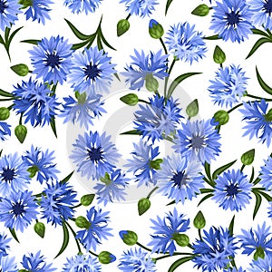 Seamless pattern with blue cornflowers. Vector ill
