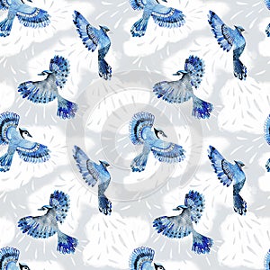 Seamless pattern with blue jay bird in the clouds.  Watercolor illustration. Repeated pattern background with birds. Great for tex