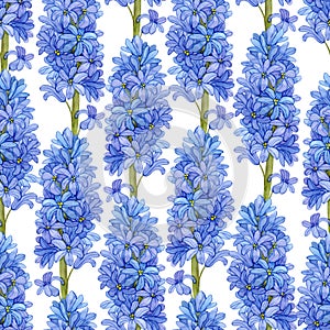 Seamless pattern with blue watercolor hyacinths on a white background.