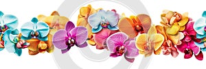 seamless pattern border of lovely multicolored orchid flowers, women\'s day gift, spring design element, isolated