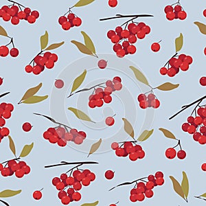 Seamless pattern with botanical elements. Various bunches of mountain ash with leaves. Ripe red berries.The concept of