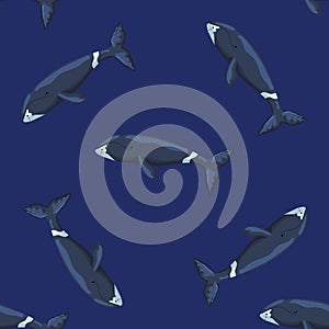 Seamless pattern Bowhead whale on dark background. Template of cartoon character of ocean for children