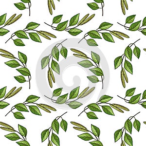 seamless pattern with branch of birch tree