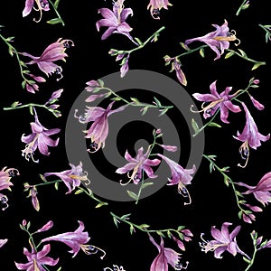 Seamless pattern with branch of purple hosta flower. Lilies. Hosta ventricosa minor, asparagaceae family.