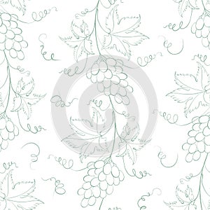 Seamless pattern of branches of grapes on white background.